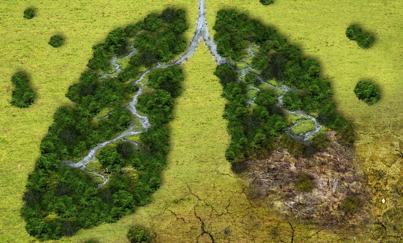 ambition-forum-osh